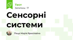 Сенсорні  системи