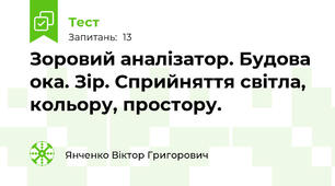 Зоровий аналізатор. Будова ока. Зір. Сприйняття світла, кольору, простору.