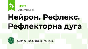 Нейрон. Рефлекс. Рефлекторна дуга