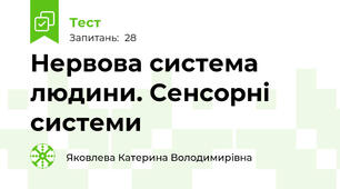Нервова система людини. Сенсорні системи