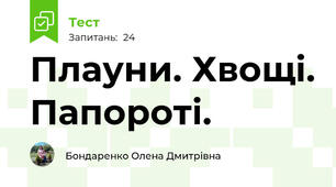 Плауни. Хвощі. Папороті.