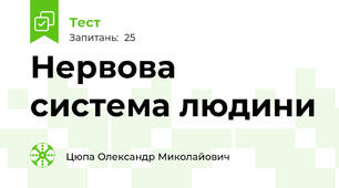 Нервова система людини