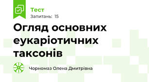 Огляд основних еукаріотичних таксонів