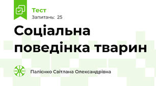Соціальна поведінка тварин