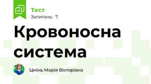 Кровоносна система