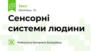 Сенсорні системи людини