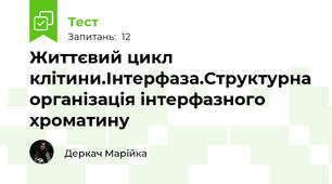 Життєвий цикл клітини.Інтерфаза.Структурна організація інтерфазного хроматину