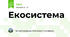 Екосистема