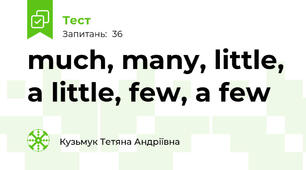 much, many, little, a little, few, a few 
