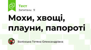 Мохи, хвощі, плауни, папороті