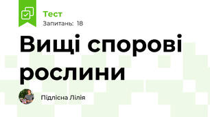 Вищі спорові рослини