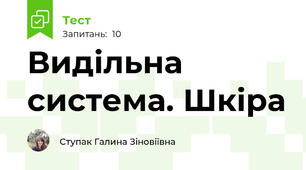 Видільна система. Шкіра