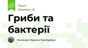 Гриби та бактерії