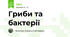 Гриби та бактерії