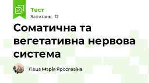 Соматична та вегетативна нервова система