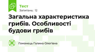Загальна характеристика грибів. Особливості будови грибів