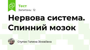 Нервова система. Спинний мозок