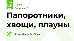 Папоротники, хвощи, плауны