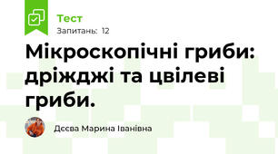Мікроскопічні гриби: дріжджі та цвілеві гриби. 