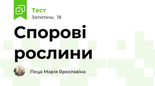 Спорові рослини