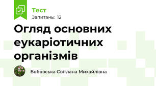 Огляд основних еукаріотичних організмів