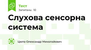 Слухова сенсорна система