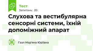 Слухова та вестибулярна сенсорні системи, їхній допоміжний апарат