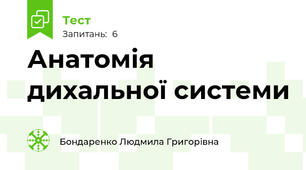 Анатомія дихальної системи