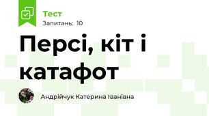Персі, кіт і катафот