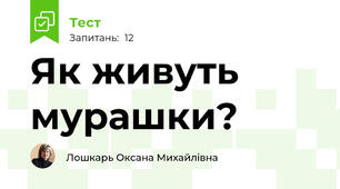 Як живуть мурашки?