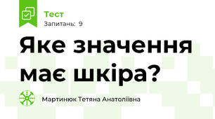 Яке значення має шкіра?