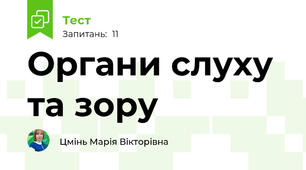 Органи слуху та зору