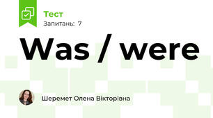 Was / were