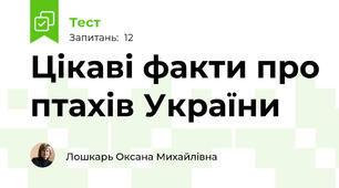 Цікаві факти про птахів України