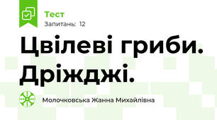  Цвілеві гриби. Дріжджі.