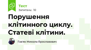 Порушення клітинного циклу. Статеві клітини.