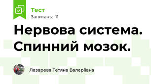 Нервова система. Спинний мозок.