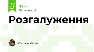 Розгалуження