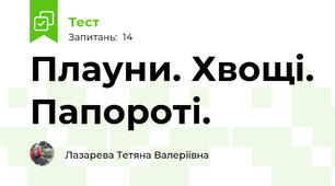 Плауни. Хвощі. Папороті.