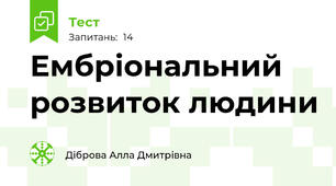 Ембріональний розвиток людини