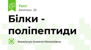 Білки - поліпептиди