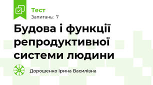 Будова і функції репродуктивної системи людини