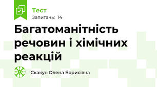 Багатоманітність речовин і хімічних реакцій