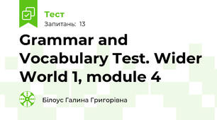 Grammar and Vocabulary Test. Wider World 1, module 4