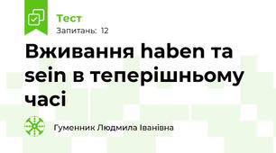 Вживання haben та sein в теперішньому часі