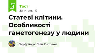 Статеві клітини. Особливості гаметогенезу у людини