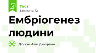 Ембріогенез людини