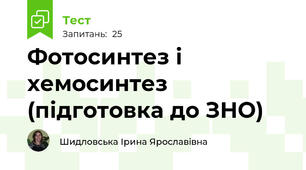 Фотосинтез і хемосинтез (підготовка до ЗНО)