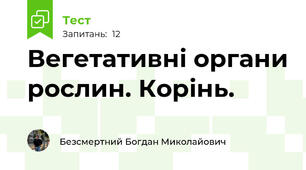 Вегетативні органи рослин. Корінь.
