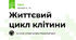 Життєвий цикл клітини
